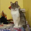 Отзыв от Анфиса Нечаева